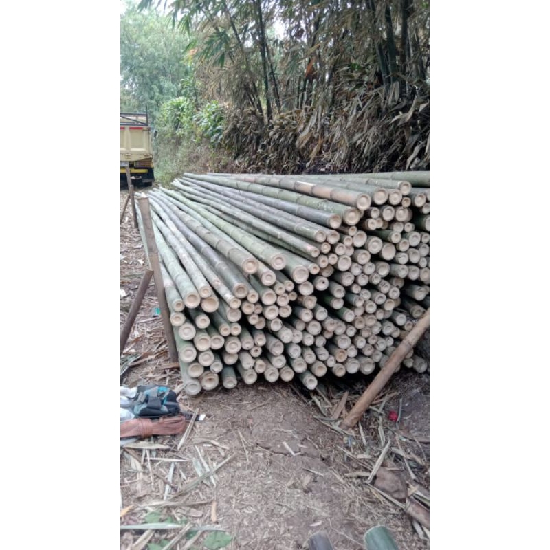 Bambu Seteger 7/8 panjang 6 meter (MINIMAL ORDER 200 BATANG)