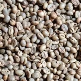 

Green Bean Robusta Semeru Grade 1 Biji Besar