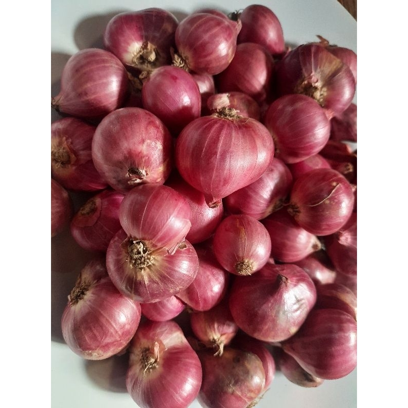 

Bawang Merah Berkualitas / Brambang / Bawang merah 500 gram / Bawang merah 1 kg