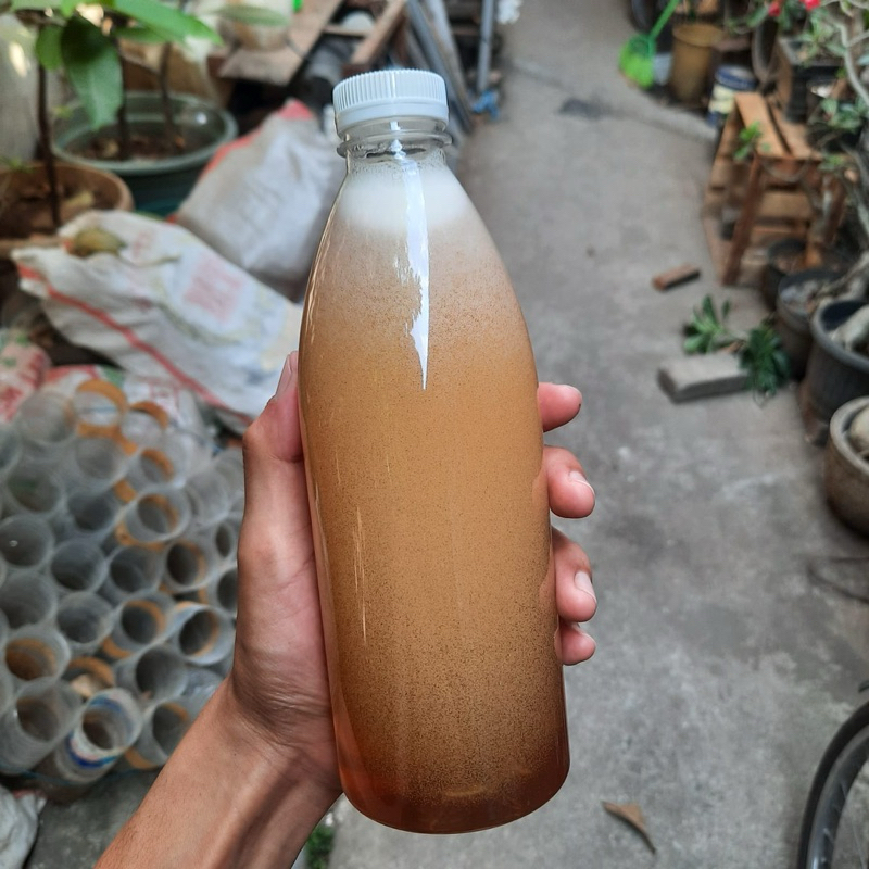 

Madu Murni Ekata 800gr Madu Murni Multiflora