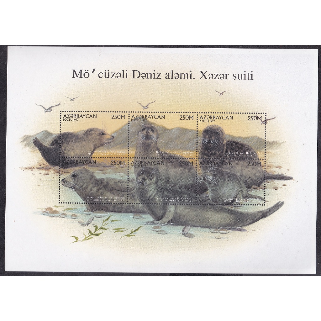 

A 9006 SATU BUAH SS PRANGKO AZERBAYCAN TEMA SATWA SINGA LAUT DENGAN KONDISI MNH MINT NEVER HINGED