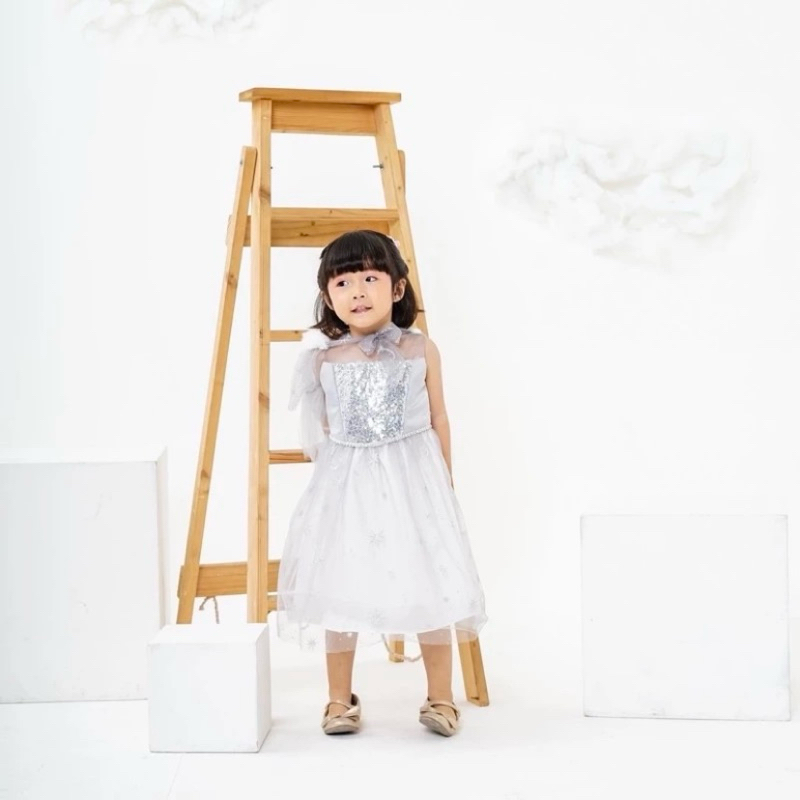 Dress Princess Balloon Party