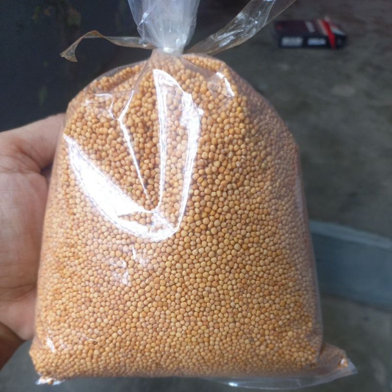 

BIJI MUSTARD KUNING 50 GRAMS/MUSTARD/BUMBUBUBUKMUSTARD