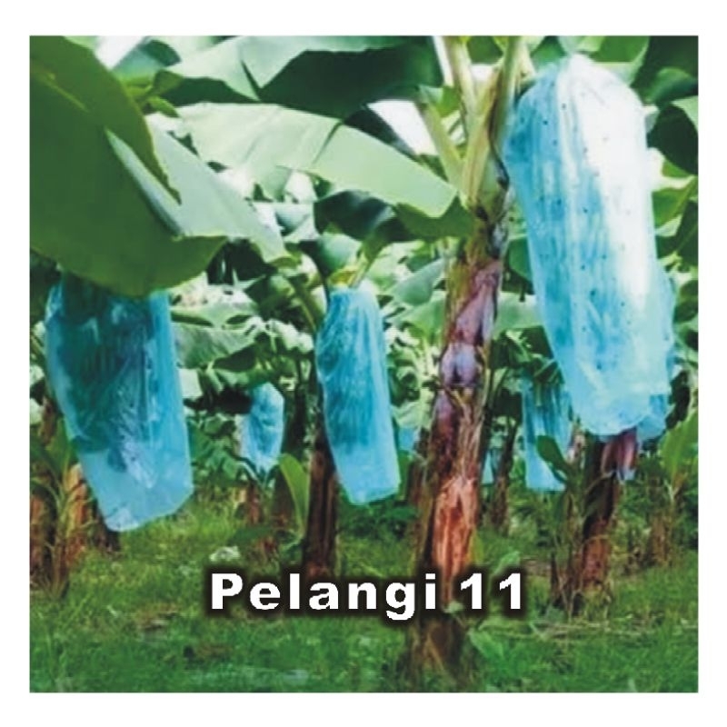 Plastik Pisang , Plastik Brongsong Buah , Plastik Biru