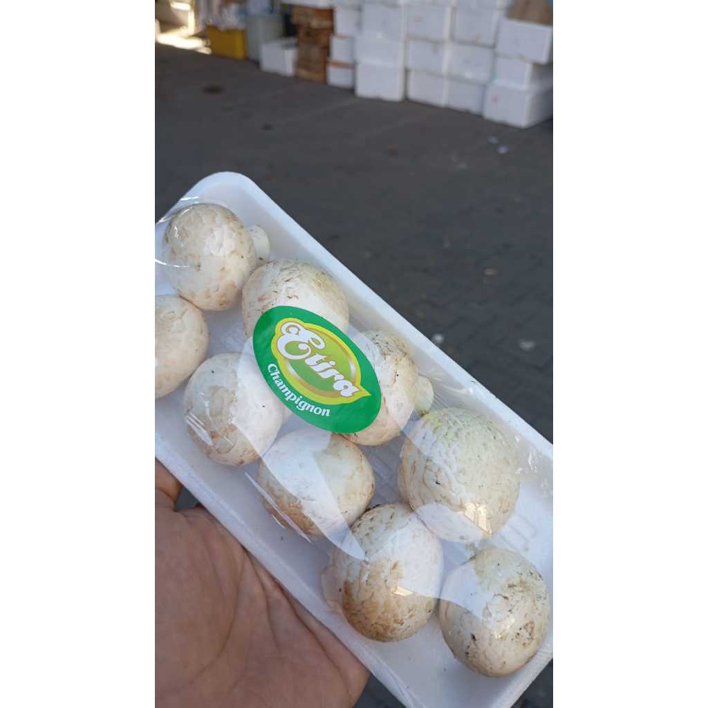 

Jamur kancing / Champignon 150gr