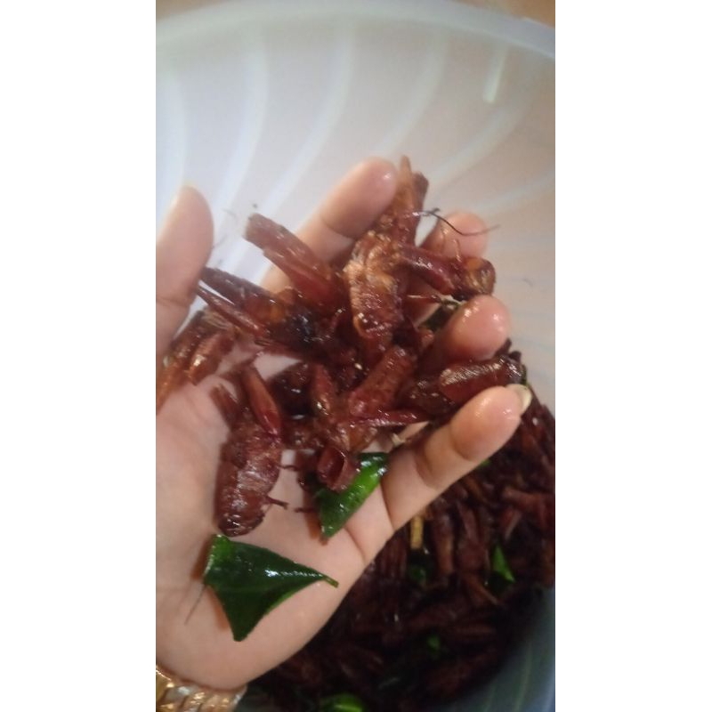 

BELALANG GORENG BESAR / Walang kayu isi 250 gram