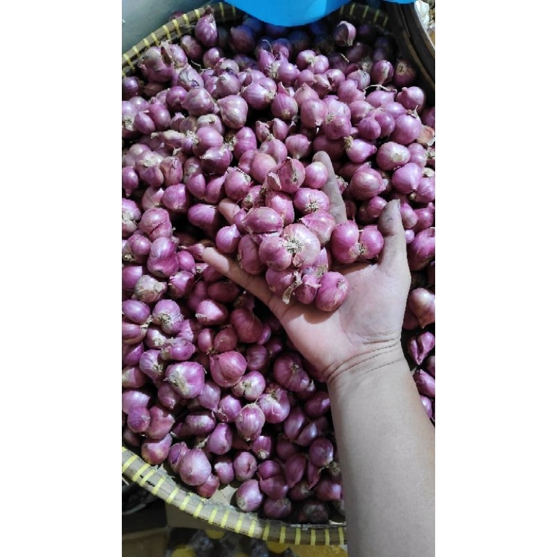 

bawang merah bima super 800g