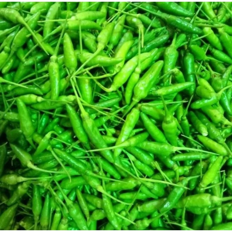 

cabe rawit hijau fresh 1 kg/ rawit hijau fresh 1 kg