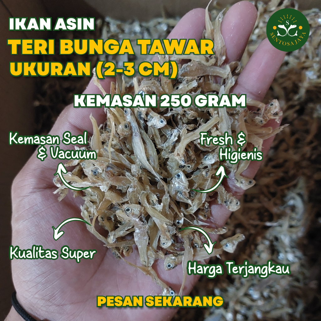 

Teri Tawar Bunga Super 250 Gram Ikan Asin Teri Bunga Tawar Super