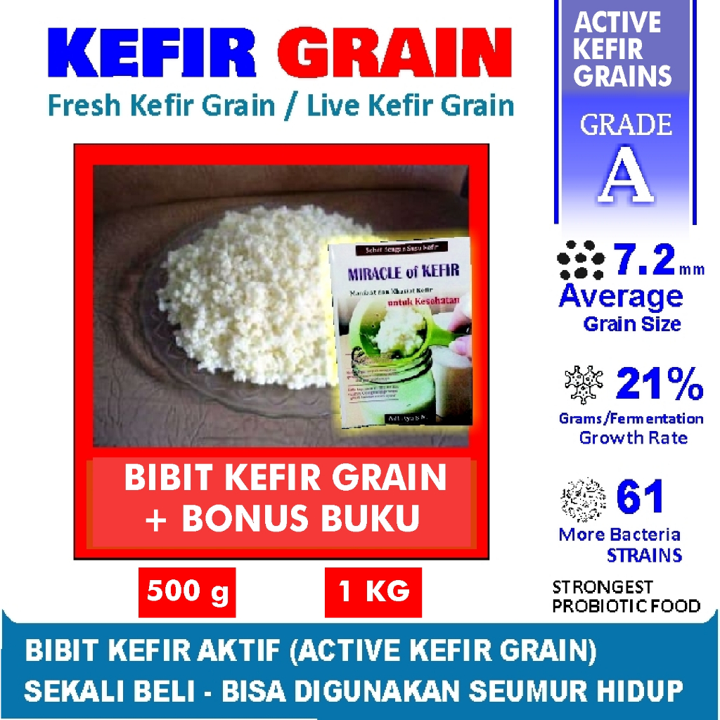 

Bibit Kefir Asli Original Bibit Kefir Grains 500 Gram Kefir Grain Aktif Grade A