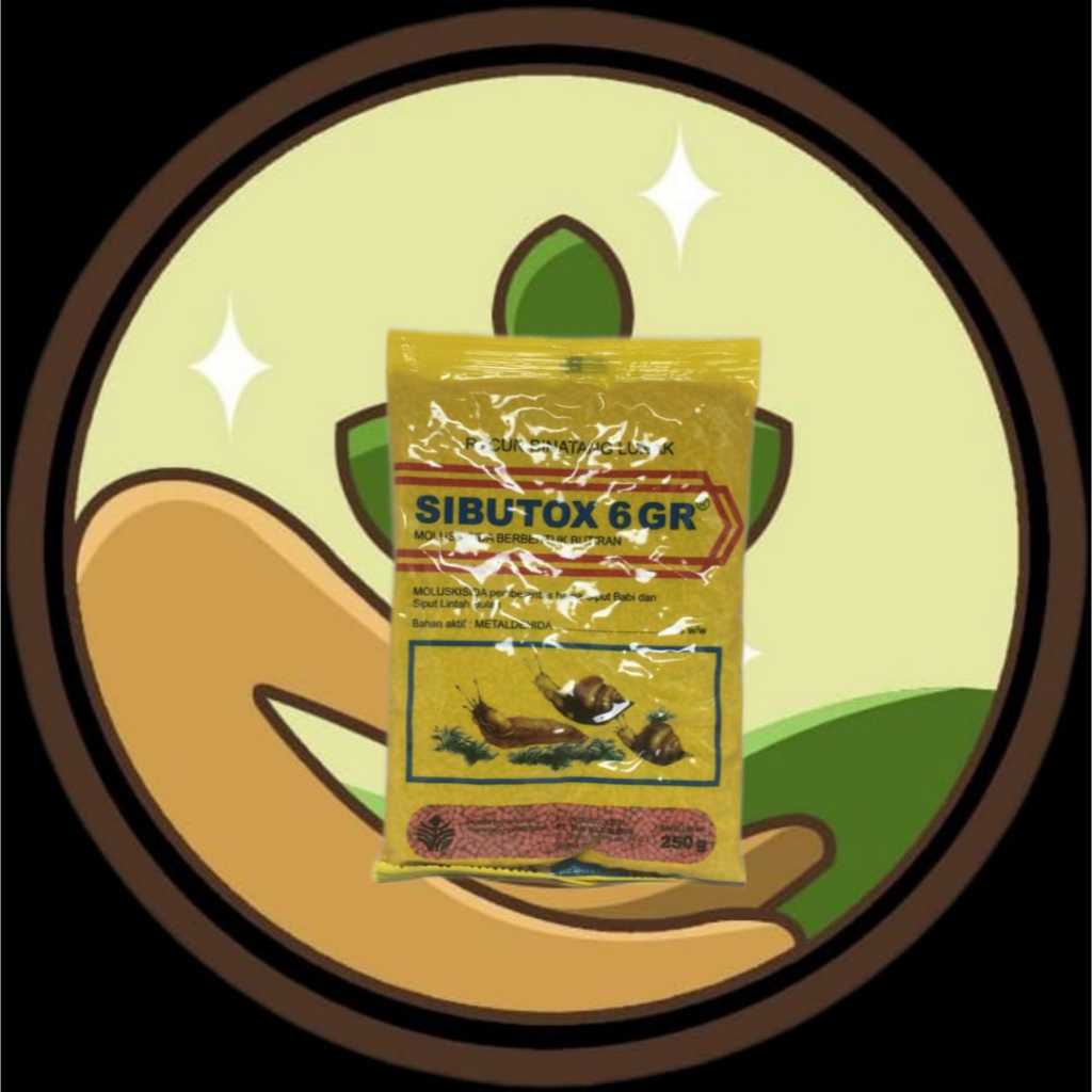 Sibutox 6 Gr @ 250 Gram