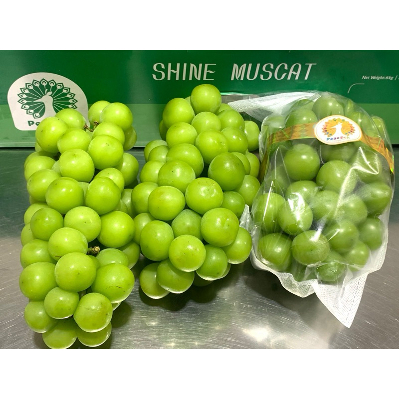 

ANGGUR SHINE MUSCAT