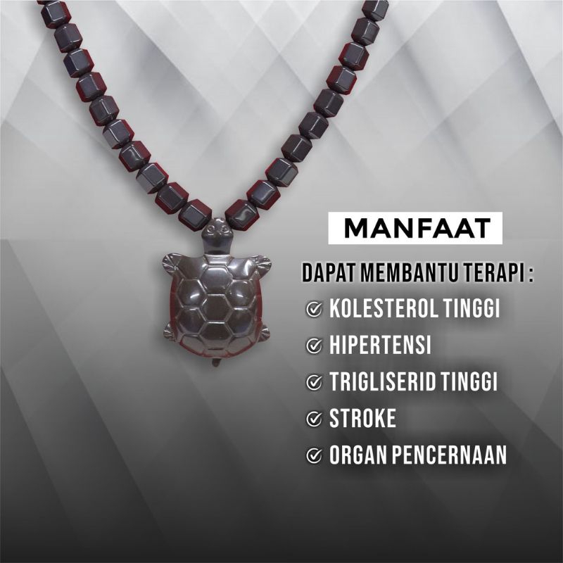 Kalung Terapi Kesehatan Obat Segala Penyakit Kalung gannamyong Original Bersertifikat Resmi