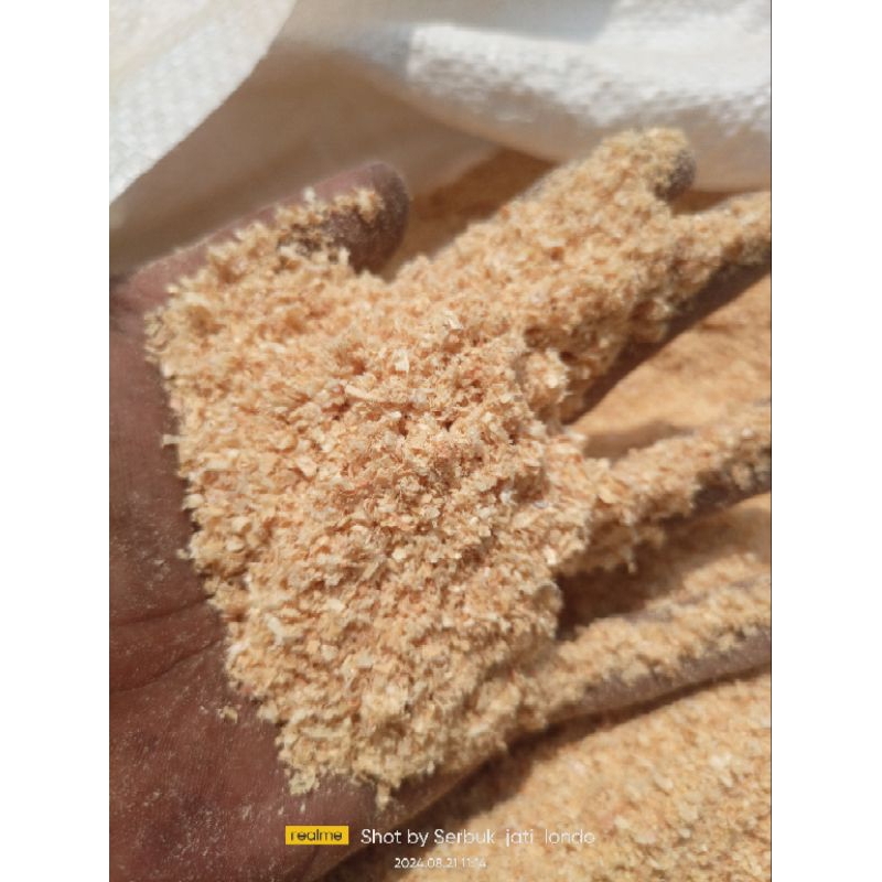 serbuk kayu pinus halus sawdust