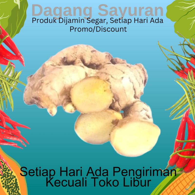 

JAHE/BUMBU SEGAR/BUMBU DAPUR/BUMBU MASAK/JUAL BUMBU/DAGANG BUMBU/PEDAGANG BUMBU/PENJUAL BUMBU/TOKO DAGANG SAYURAN/SERPONG/BSD/BINTARO/CIPUTAT/PAMULANG/PONDOK AREN/TANGERANG SELATAN/TANGSEL