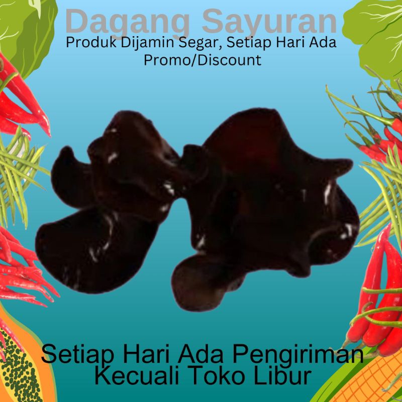 

JAMUR KUPING/JAMUR SEGAR/JUALJAMUR SEGAR/DAGANG JAMUR SEGAR/PENJUAL JAMUR SEGAR/PEDAGANG JAMUR SEGAR/TOKO DAGANG SAYURAN/SERPONG/BSD/BINTARO/CIPUTAT/PAMULANG/PONDOK AREN/TANGERANG SELATAN/TANGSEL