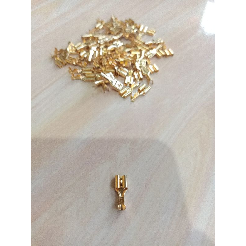 Skun Gepeng Female 4,8 mm (ukuran sedang)