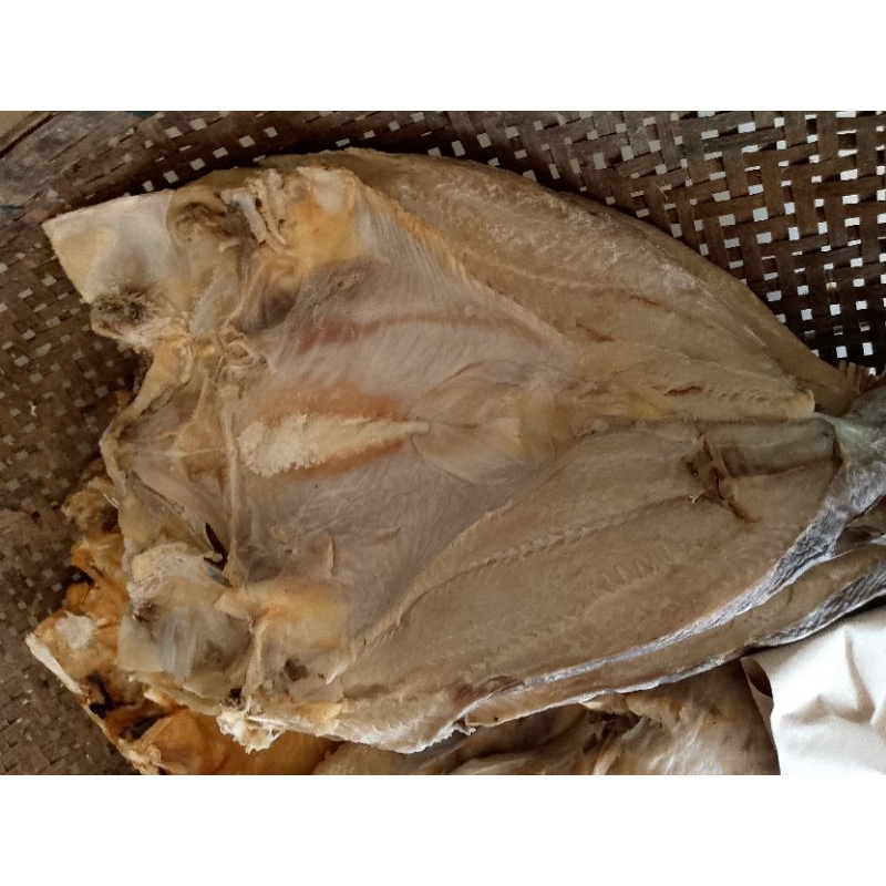 

ikanasinjambalrotitanpatulang