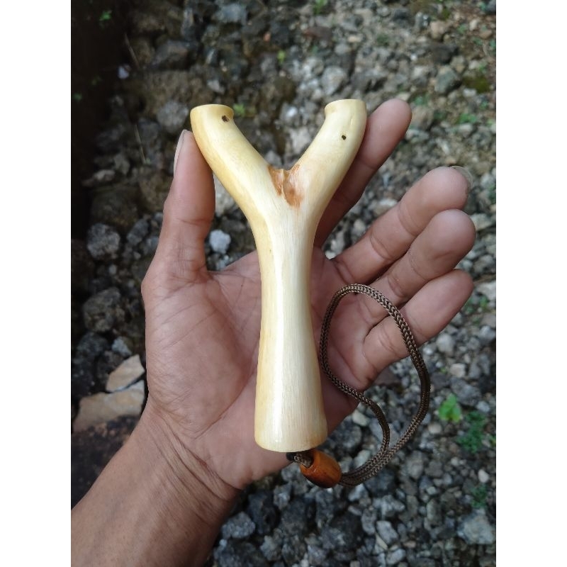 ketapel kayu Asam Jawa/ayonCATAPULT