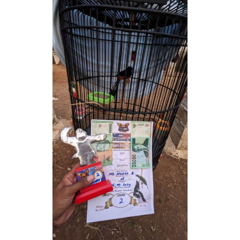 piala lomba burung kicau