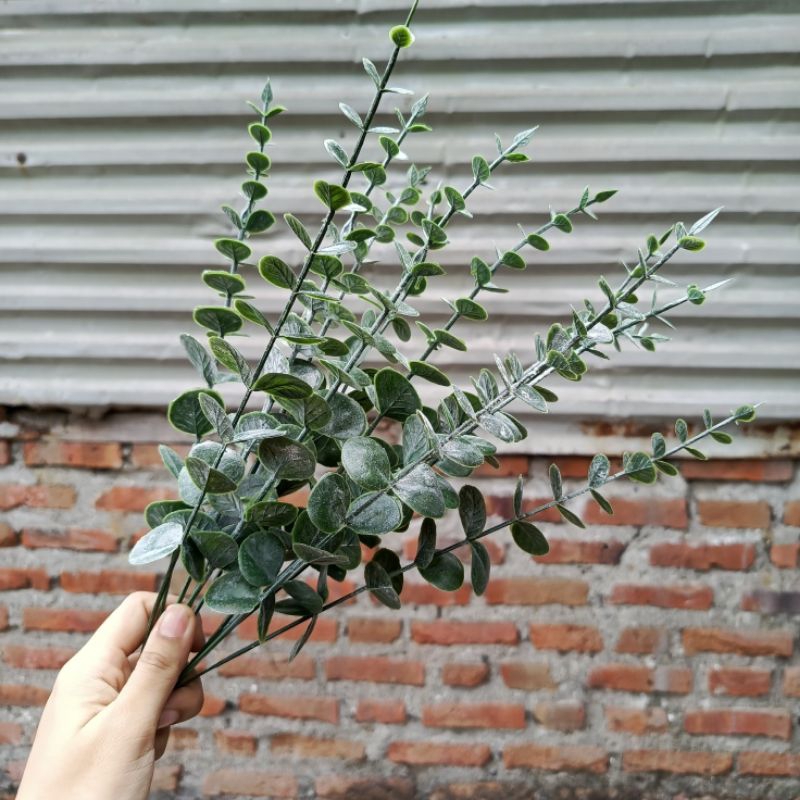 bunga daun dolar artificial bahan buket hiasan buket daun eucalyptus
