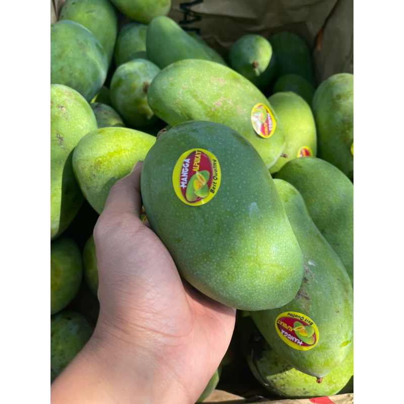 

Mangga Alpukat Mangga Harumanis 1kg