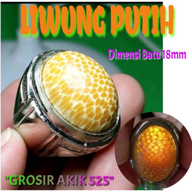 cincin kayu liwung putih / kayu liwung tutul tembus senter