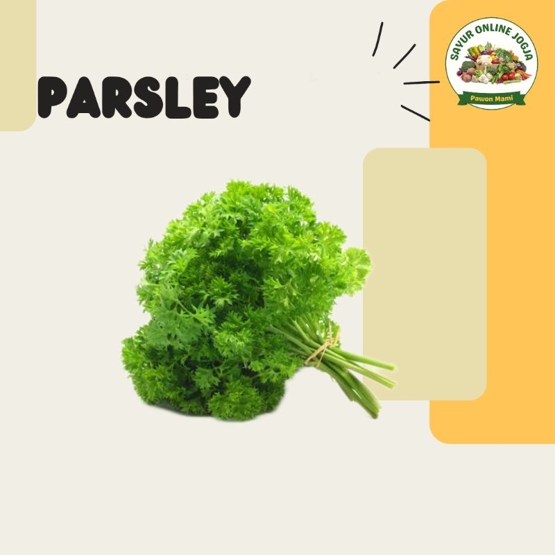 

Parsley 50gr - PAWON MAMI SAYUR ONLINE JOGJA