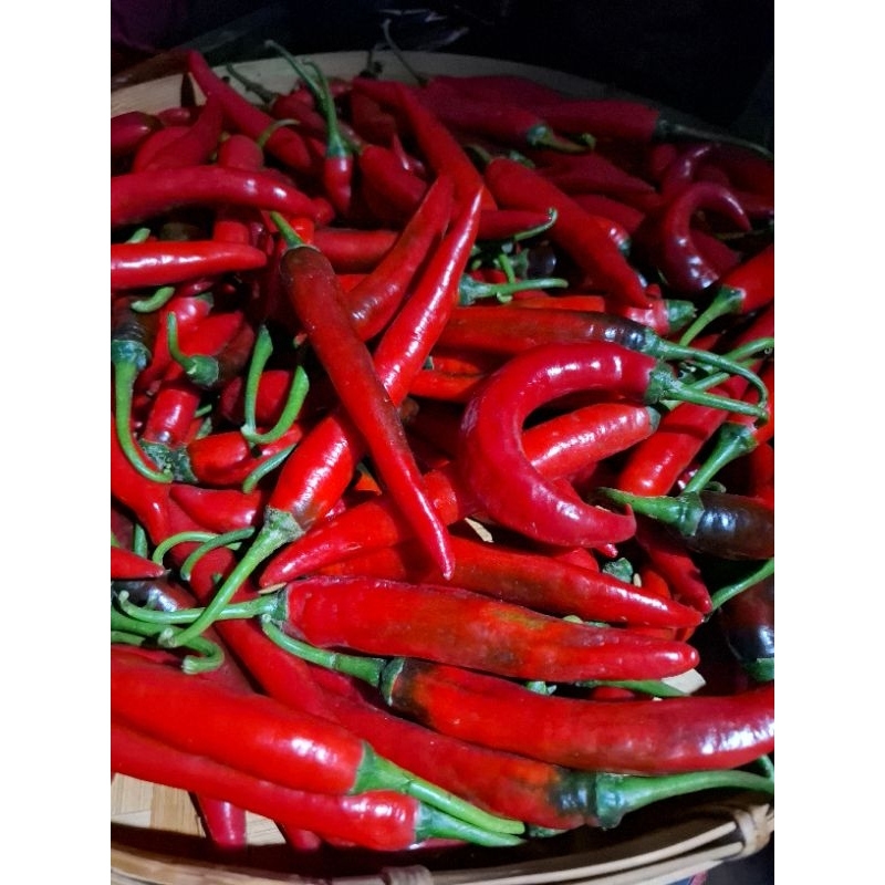 

cabe besar merah 1 kg