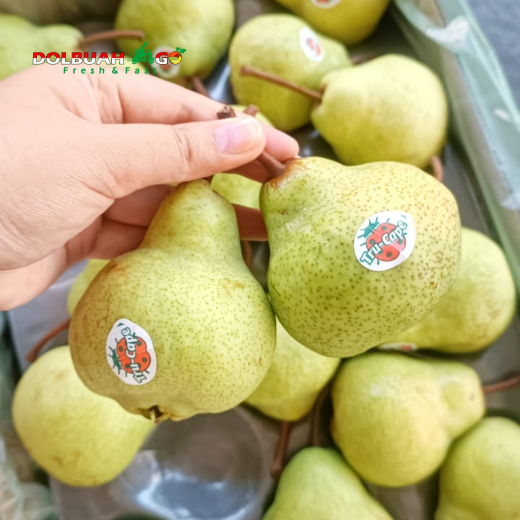 

Pear Jambu Hijau Packam Jumbo Manis Berkualitas - Dolbuah