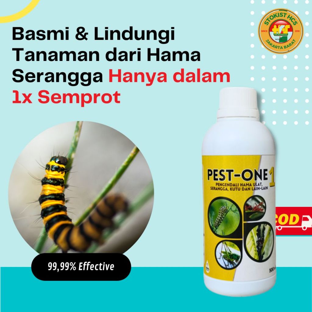 pestisida insektisida organik cair untuk tanaman hias tanaman cabe hama ulat Kutu putih thrips