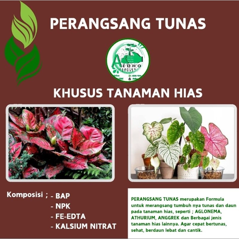 Pupuk Perangsang Tunas Tanaman Hias