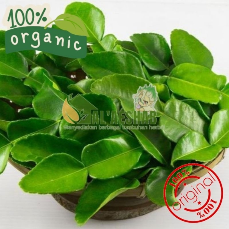 

daun jeruk untuk bumbu dll per 100g segar di petik dadakan