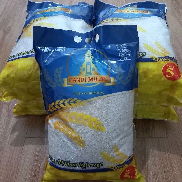

Beras Premium Kemasan 5 Kg