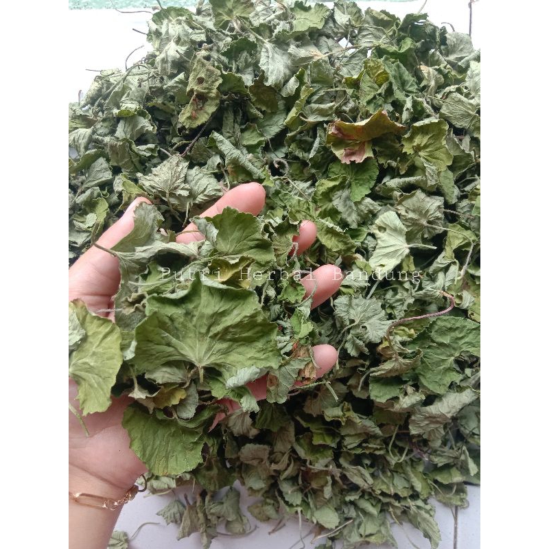 

Daun pegagan kering/ teh daun pegagan asli alami