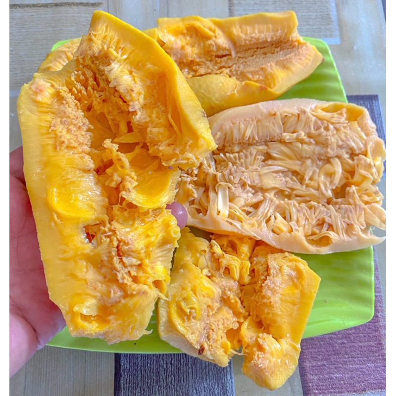 

Mandai / Kulit Cempedak lembaran kemasan 1 Kg