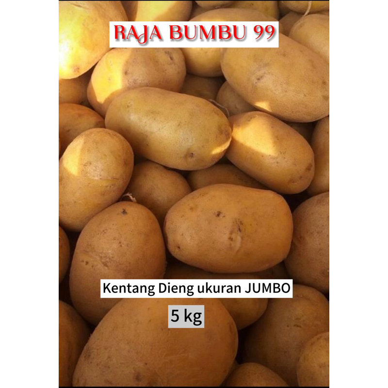 

KENTANG DIENG ASLI ukuran JUMBO GROSIR 5kg