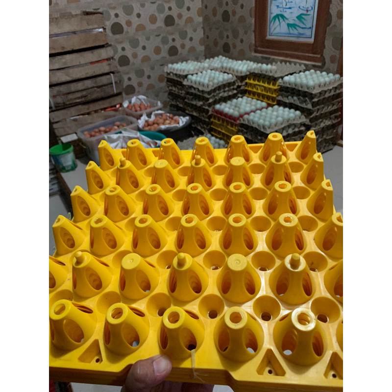 Egg tray medion / egg tray telur bebek ukuran besar