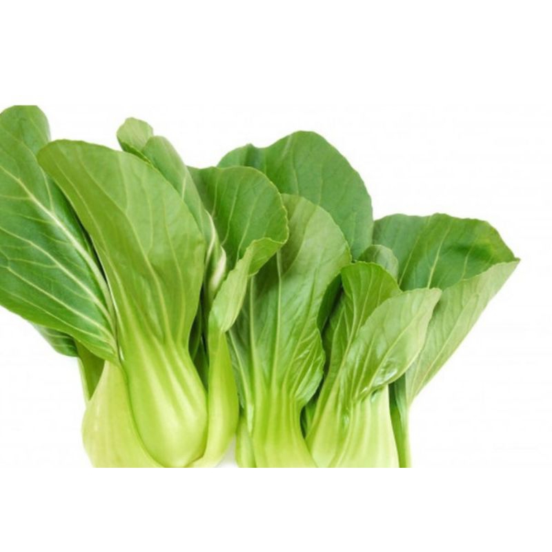 

pakcoy 250 gram fresh