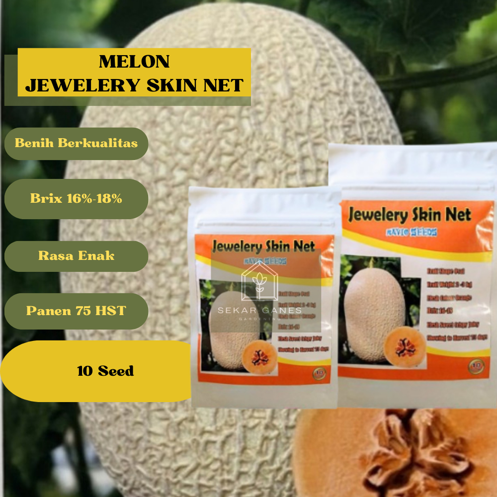 ORI BENIH Melon JEWELERY SKIN NET F1 Kemasan Repack 10 50 100 Biji Melon Sweet Net Daging Orange Pre