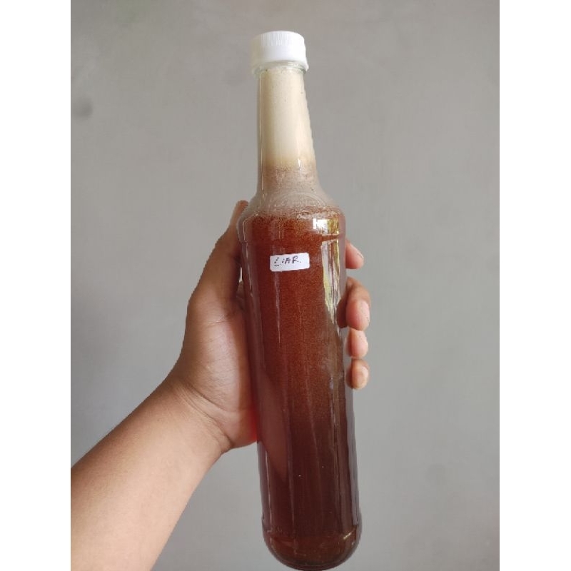 

Madu Hutan Liar Apis Dorsata