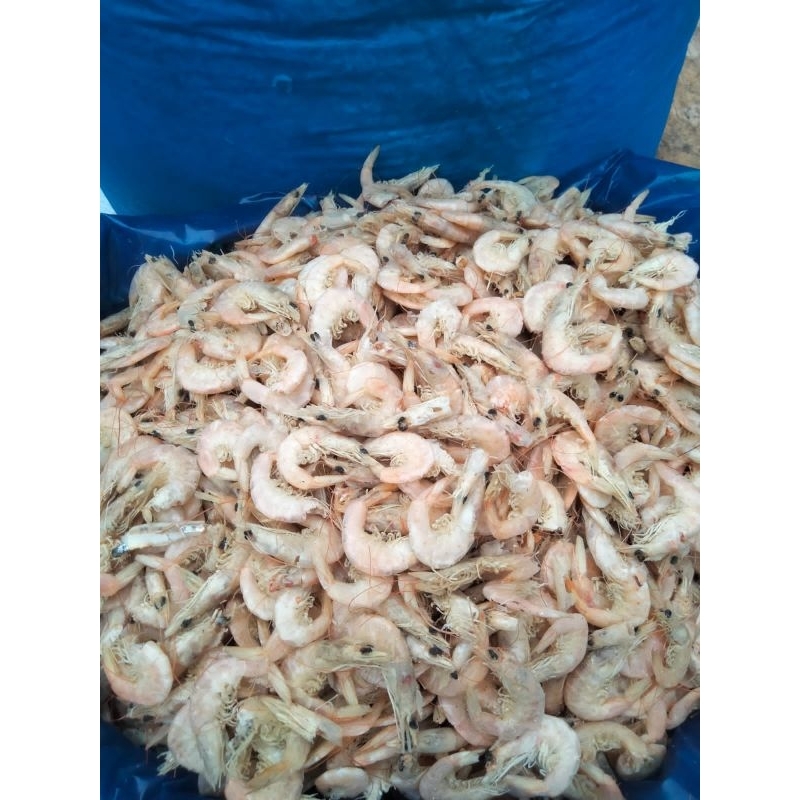 

IKAN ASIN /UDANG MANIS TANJUNG BALAI 250 GRAM