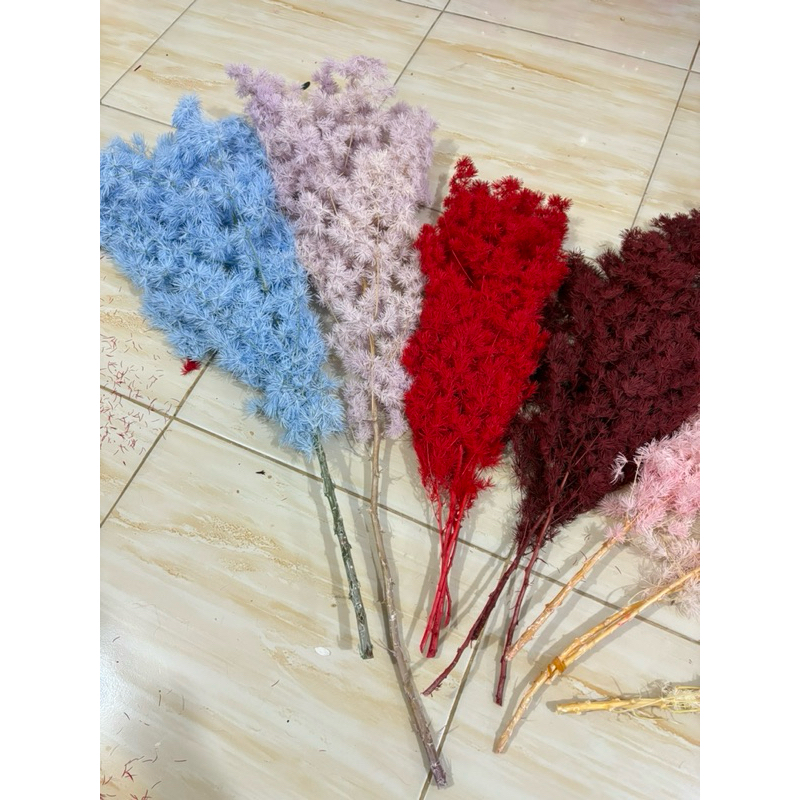 Preserved Asparagus / Bunga kering / Dried Flower Asparagus / Bunga Plastik {5gr} {10gr}