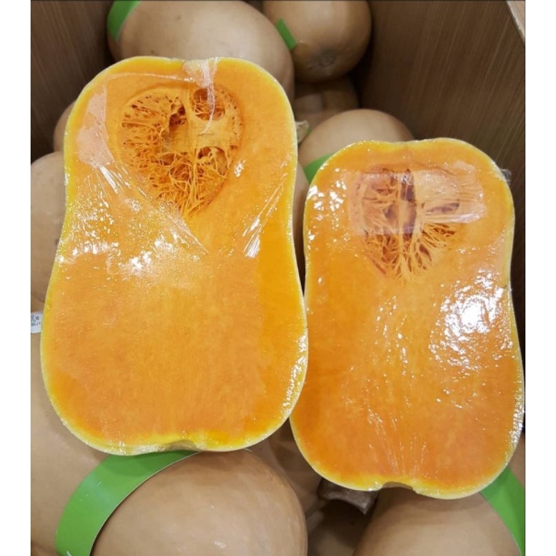 

LABU BUTTERNUT / PUMPKIN BUTTERNUT AUSTRALIA PER PCS