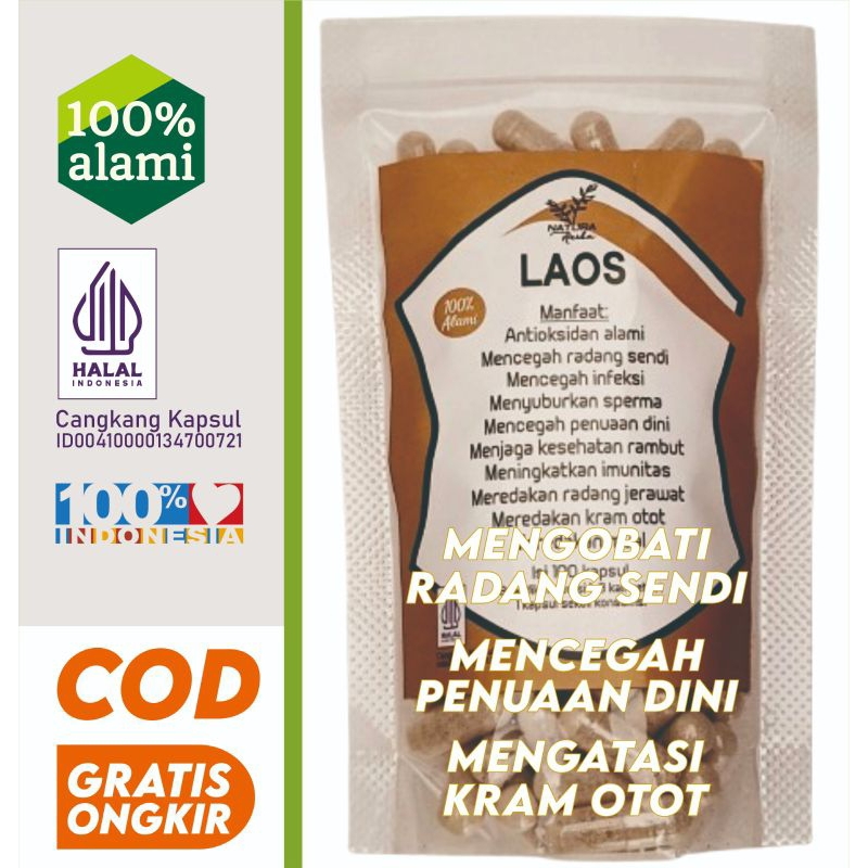 LAOS KAPSUL | LENGKUAS | MENGOBATI RADANG SENDI | MENGHAMBAT PENUAAN DINI |  MEREDAKAN KRAM OTOT | H