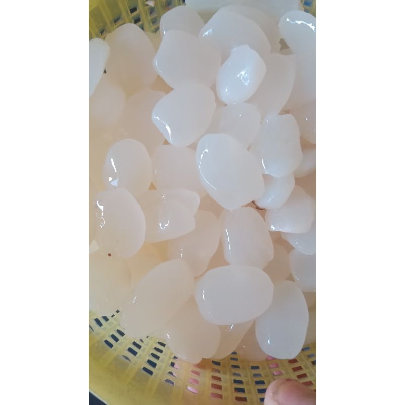 

co live mandiri 10 september2024