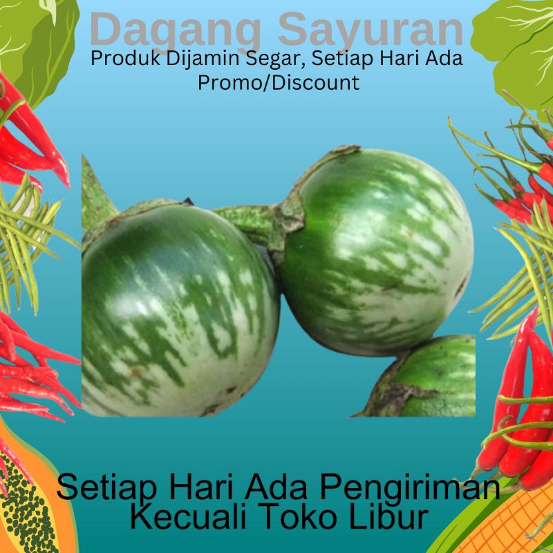 

TERONG HIJAU BULAT/SAYUR SEGAR/SAYURAN SEGAR/JUAL SAYUR/JUAL SAYURAN/DAGANG SAYUR/DAGANG SAYURAN/PEDAGANG SAYUR/PEDAGANG SAYURAN/PENJUAL SAYUR/PENJUAL SAYURAN/SERPONG/BSD/BINTARO/CIPUTAT/PAMULANG/PONDOK AREN/TANGERANG SELATAN/TANGSEL