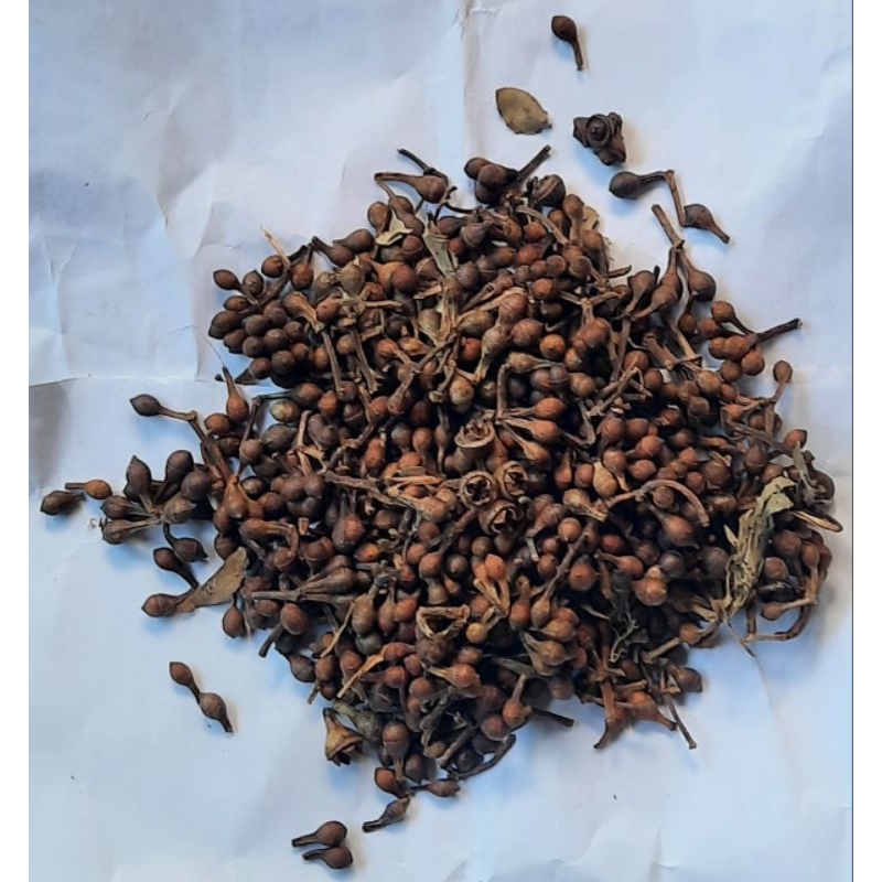 

biji albak / albak ( 1 ons / 100 gram )