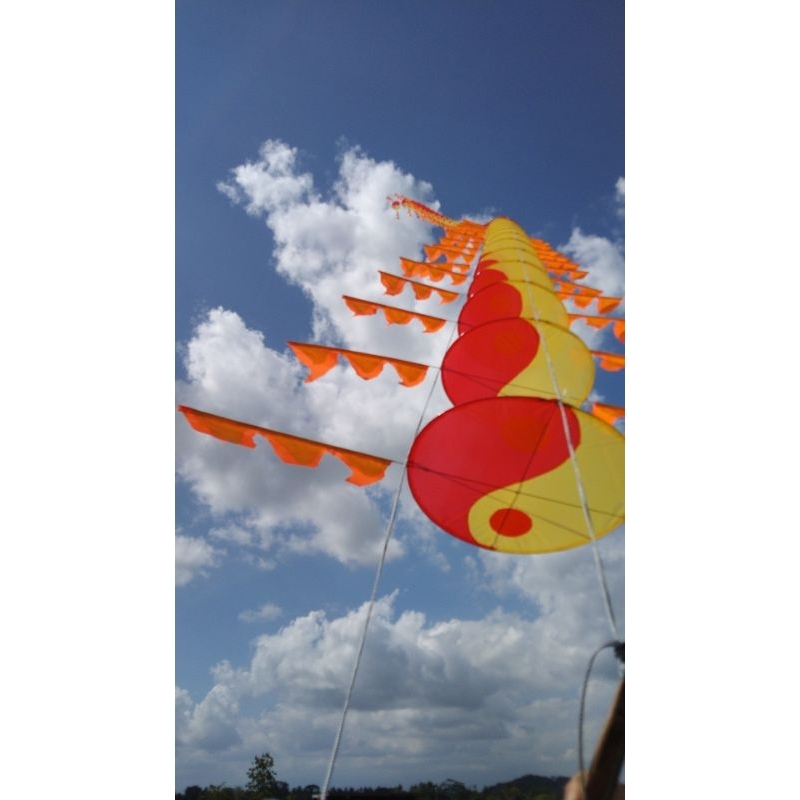 badan layangan naga bahan plastik kain ukuran 20cm 50 keping belum tes terbang