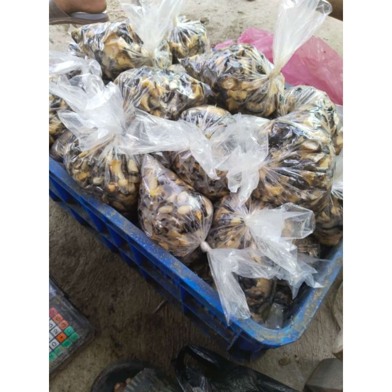 

Kerupuk Daging keong